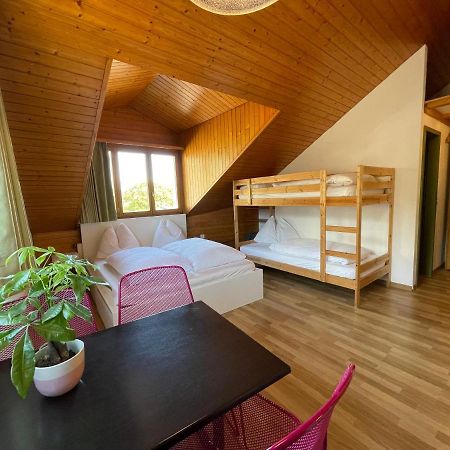 Central Beauty Scenery Apartment Interlaken Esterno foto