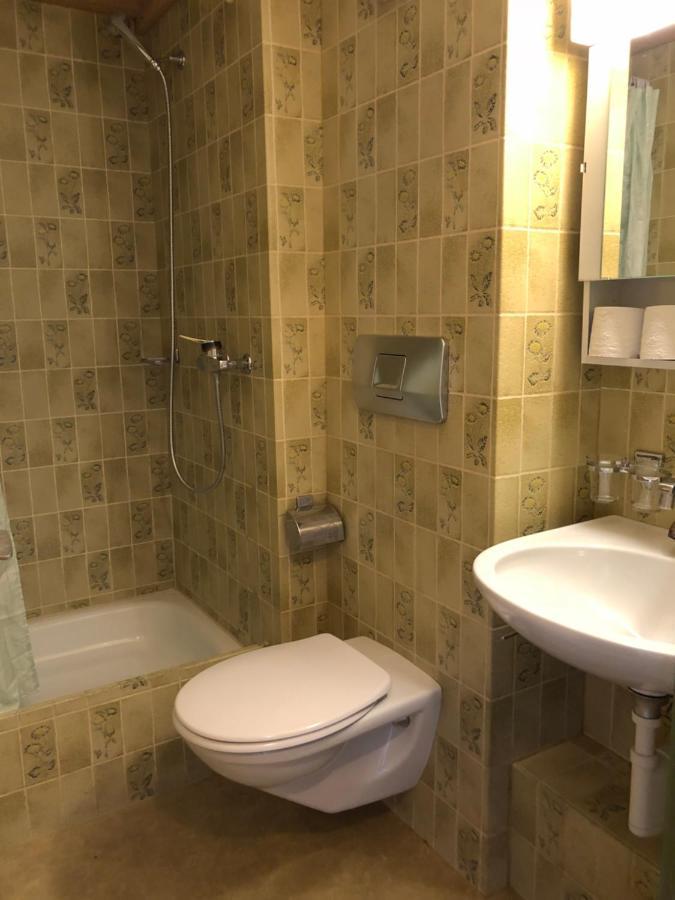 Central Beauty Scenery Apartment Interlaken Esterno foto