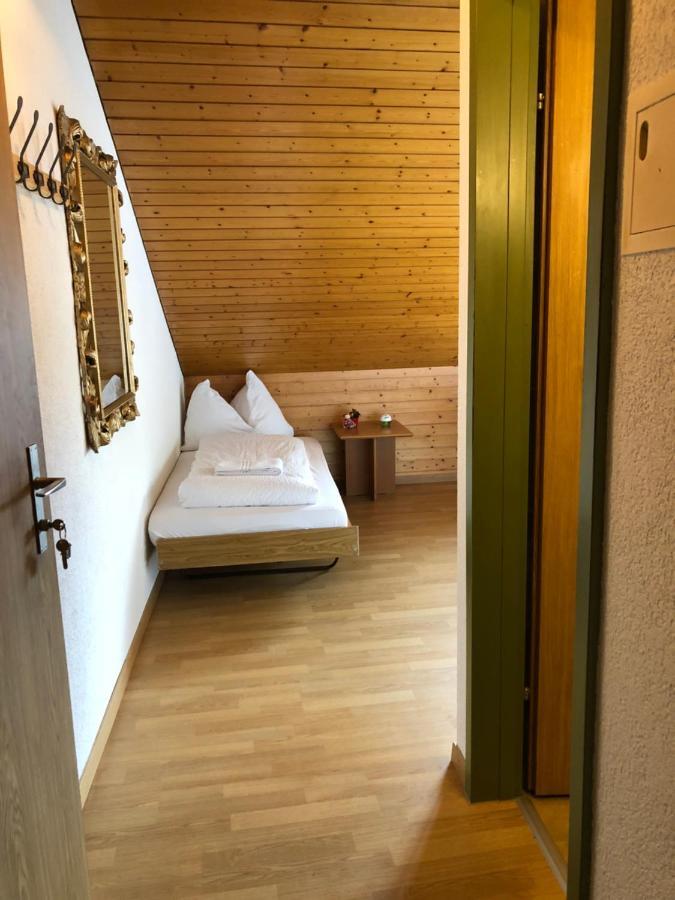 Central Beauty Scenery Apartment Interlaken Esterno foto